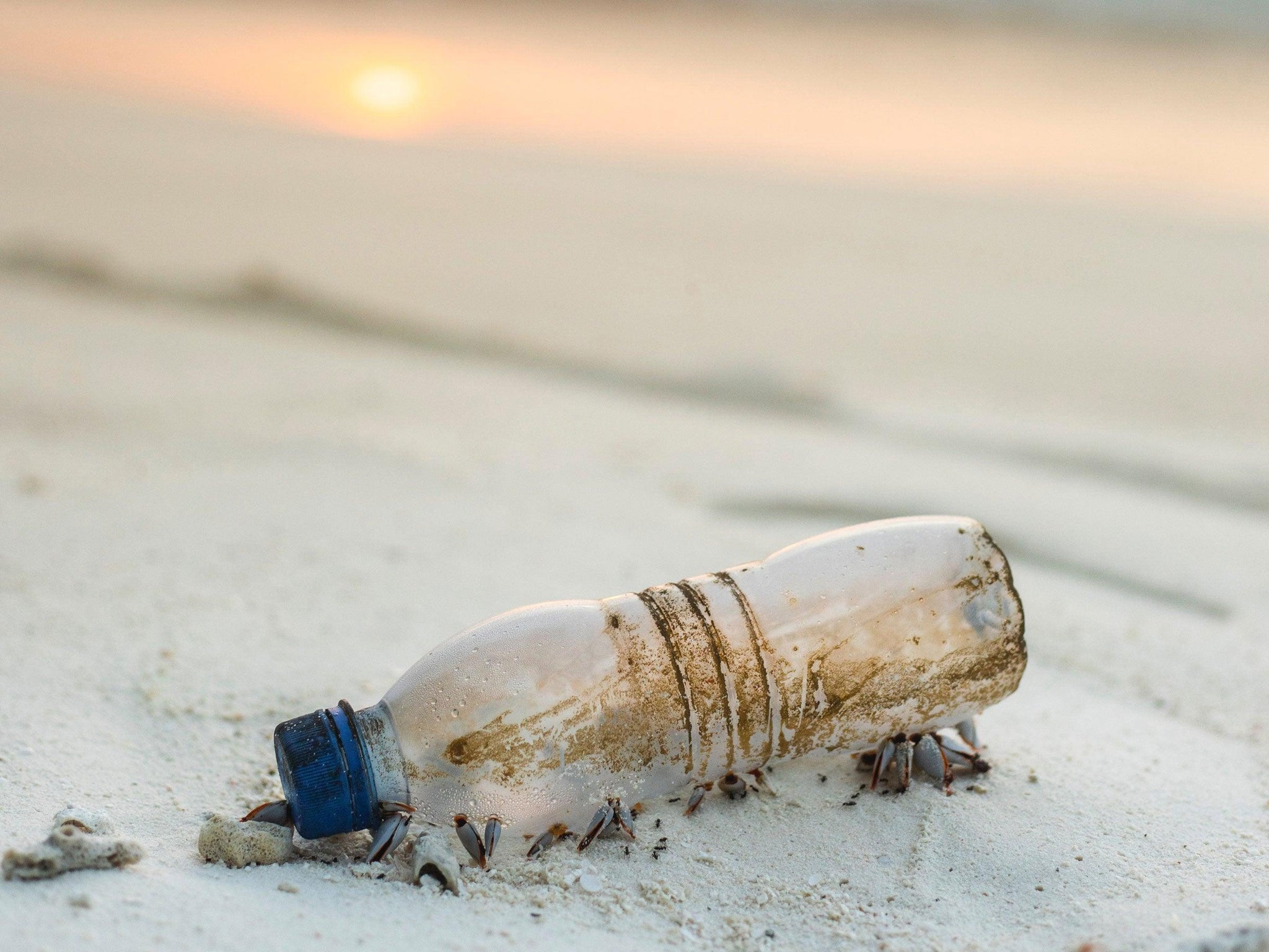recovering ocean plastic waste with every product